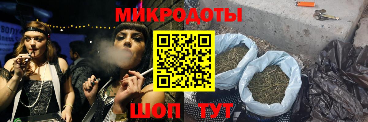 Галлюциногенные грибы Psilocybine cubensis Всеволожск