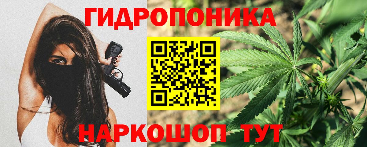 Всеволожск  Конопля White Widow  Бошки Шишки индика  МАРИХУАНА индика  Вход с VPN 